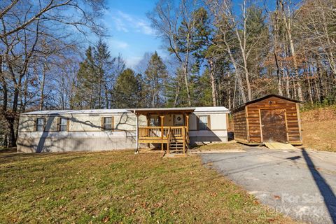 A home in Pisgah Forest