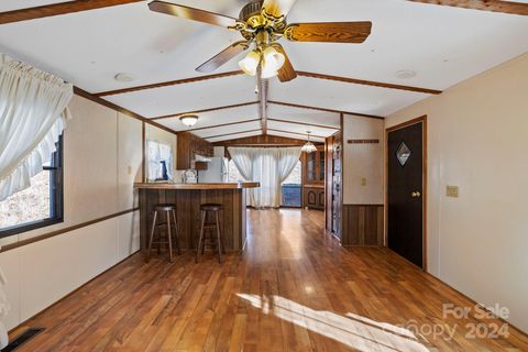 A home in Pisgah Forest