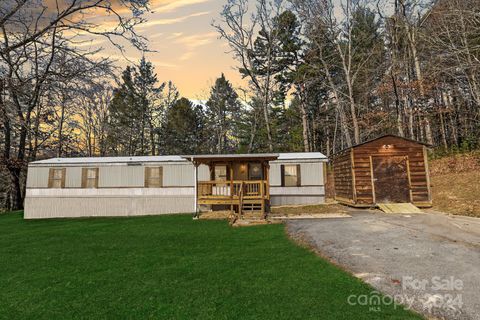 A home in Pisgah Forest