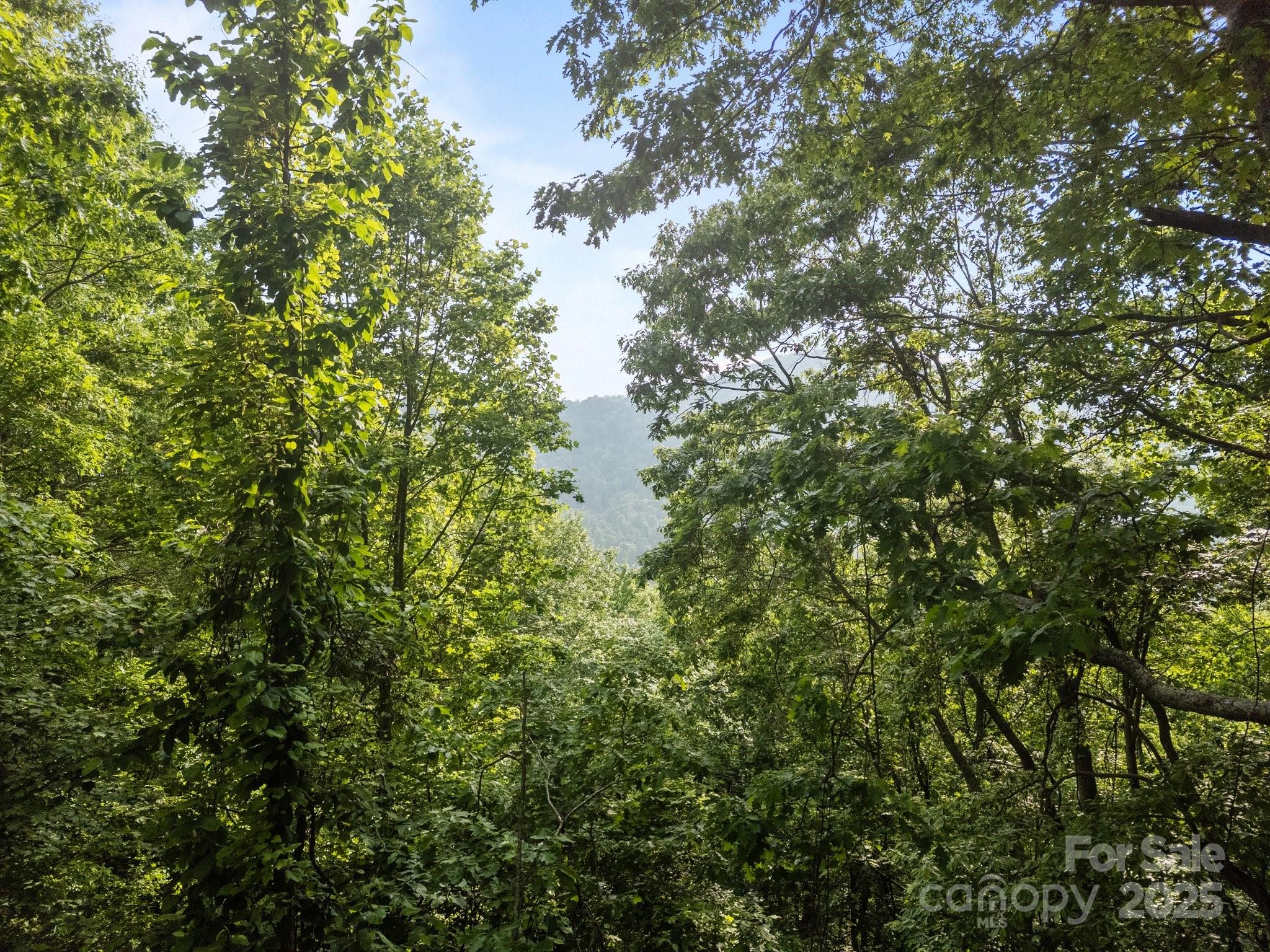 00 Granny Shepherd Road