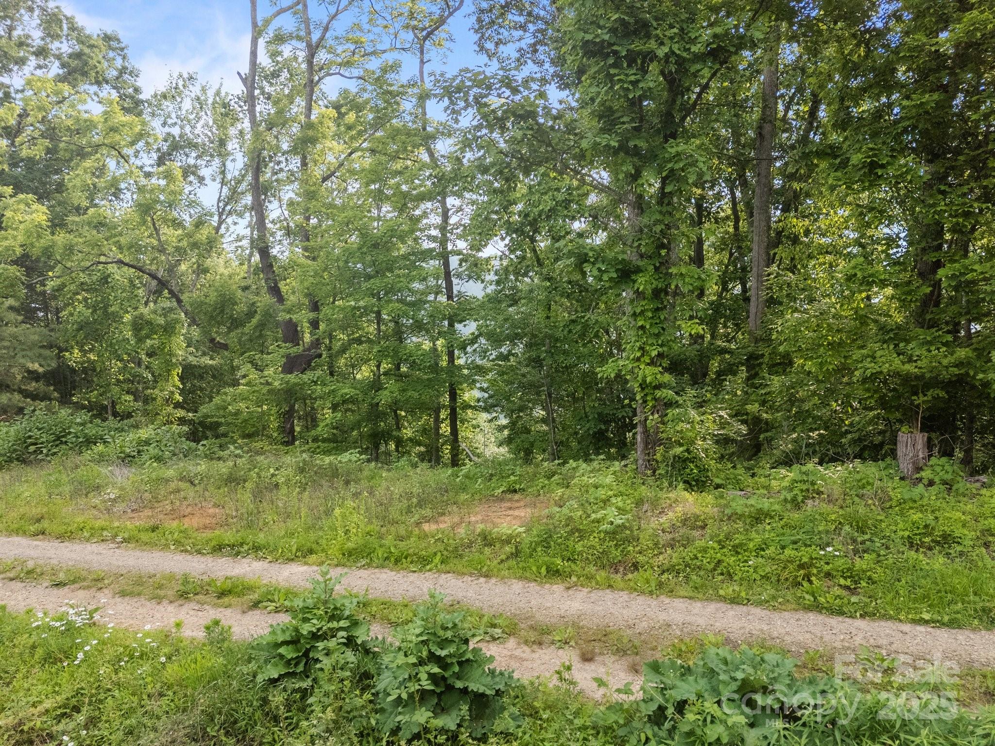 00 Granny Shepherd Road