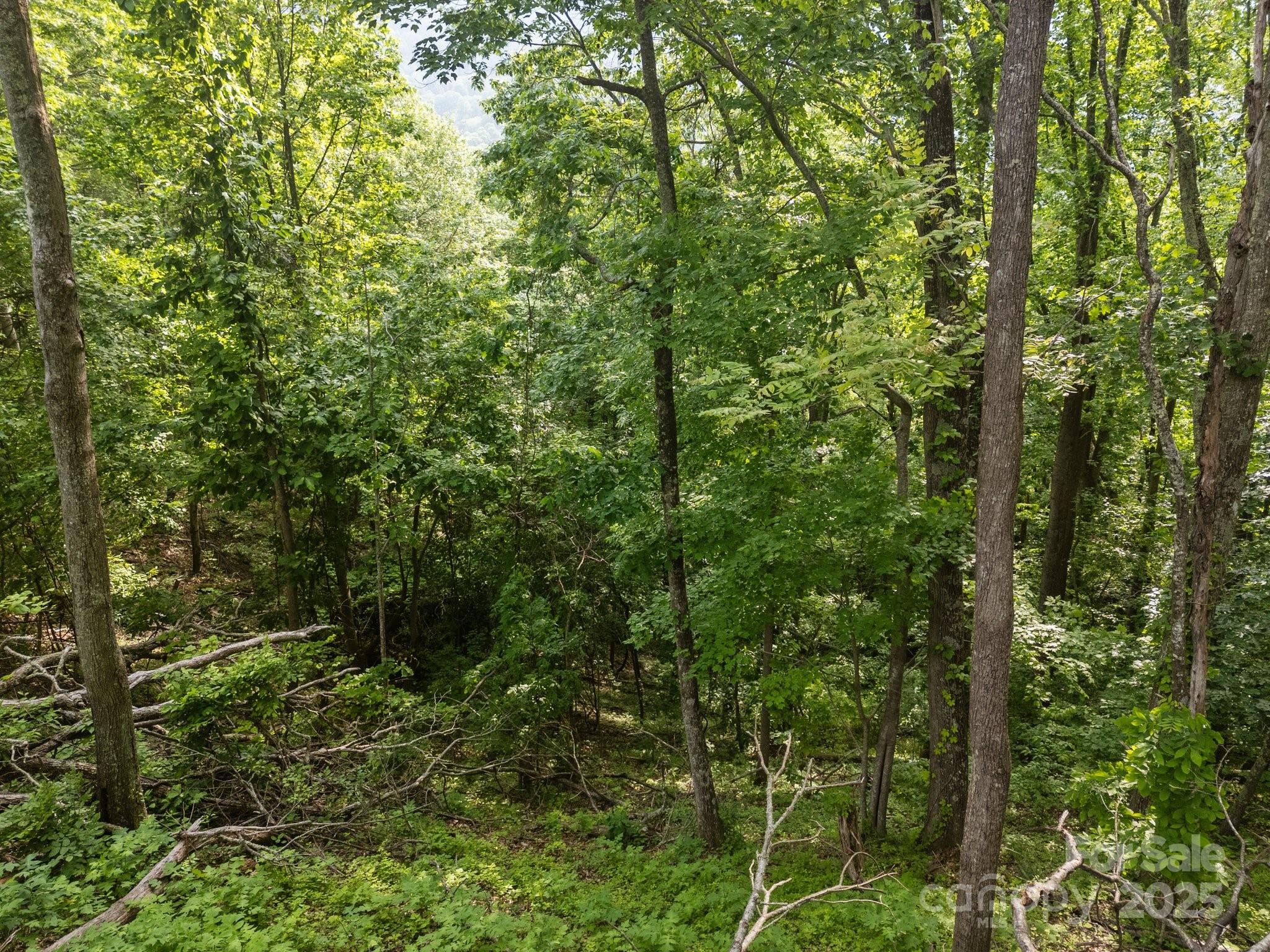 00 Granny Shepherd Road