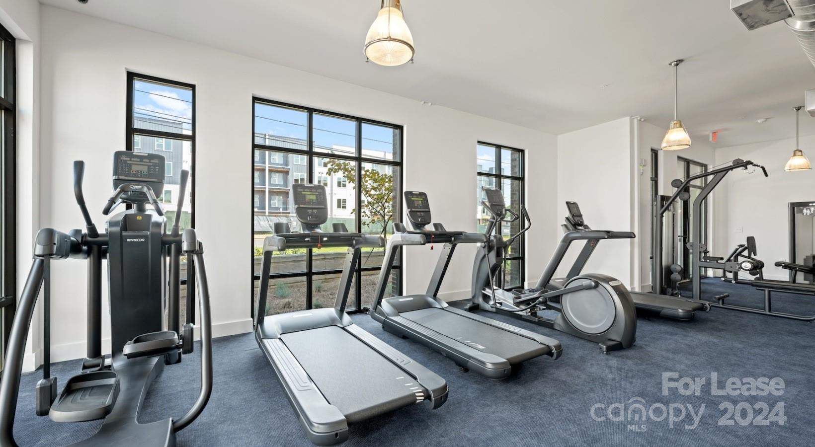 Charlotte, North Carolina 28208, United States, 1 Bedroom Bedrooms, ,1 BathroomBathrooms,Residential,Active,62585