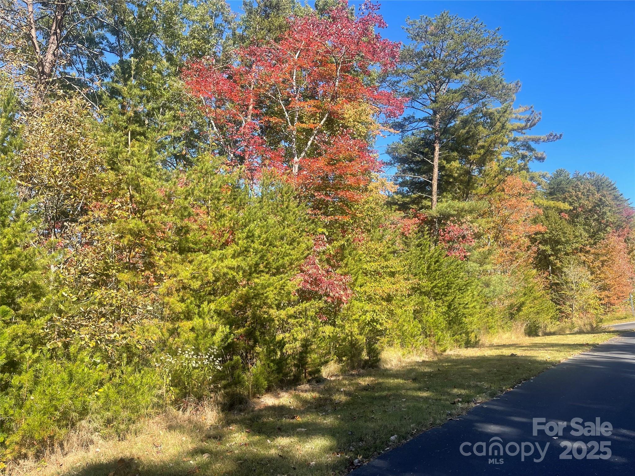 Marion, North Carolina 28752, United States, ,Land,Active,77594