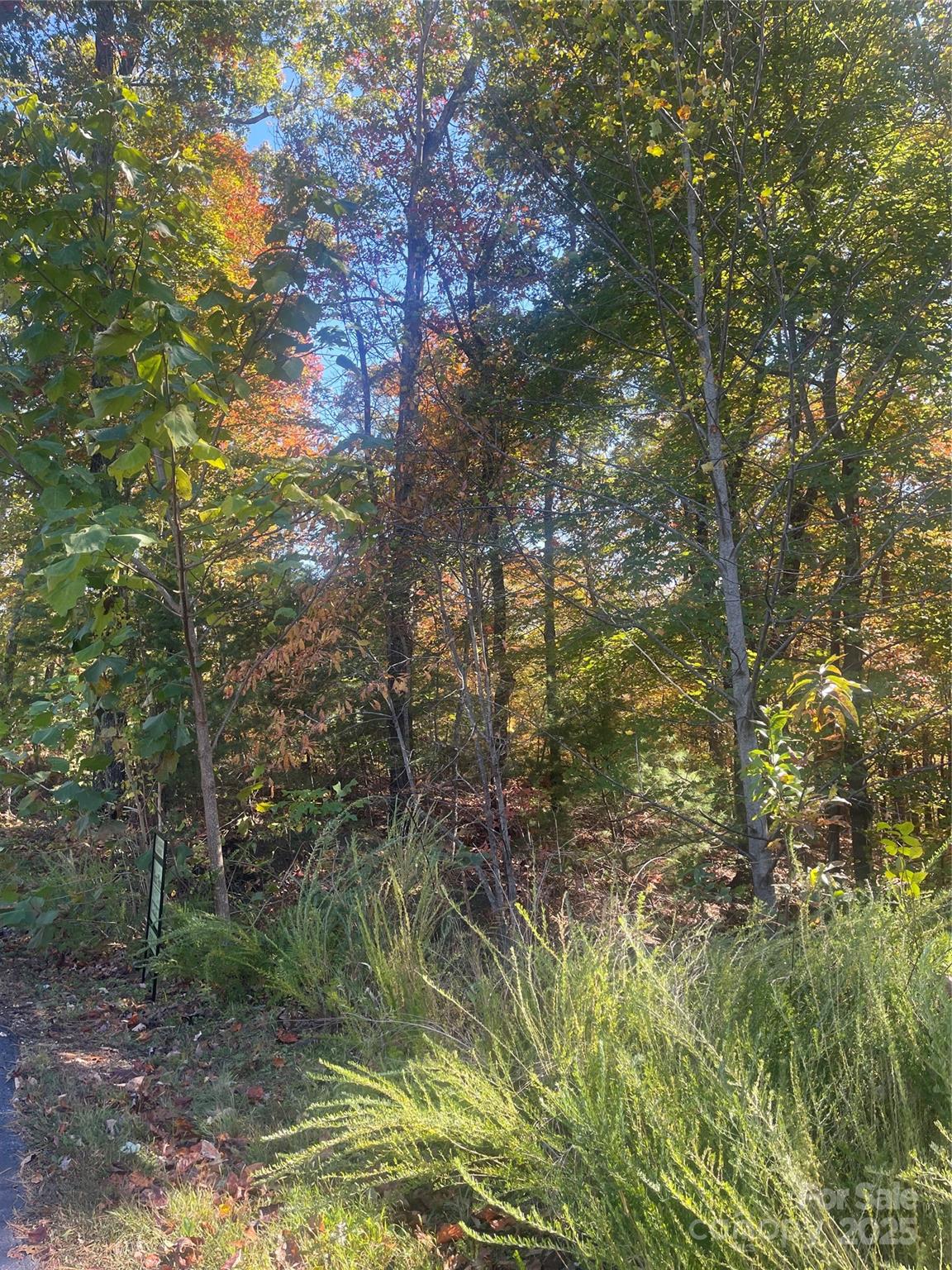 Marion, North Carolina 28752, United States, ,Land,Active,77594