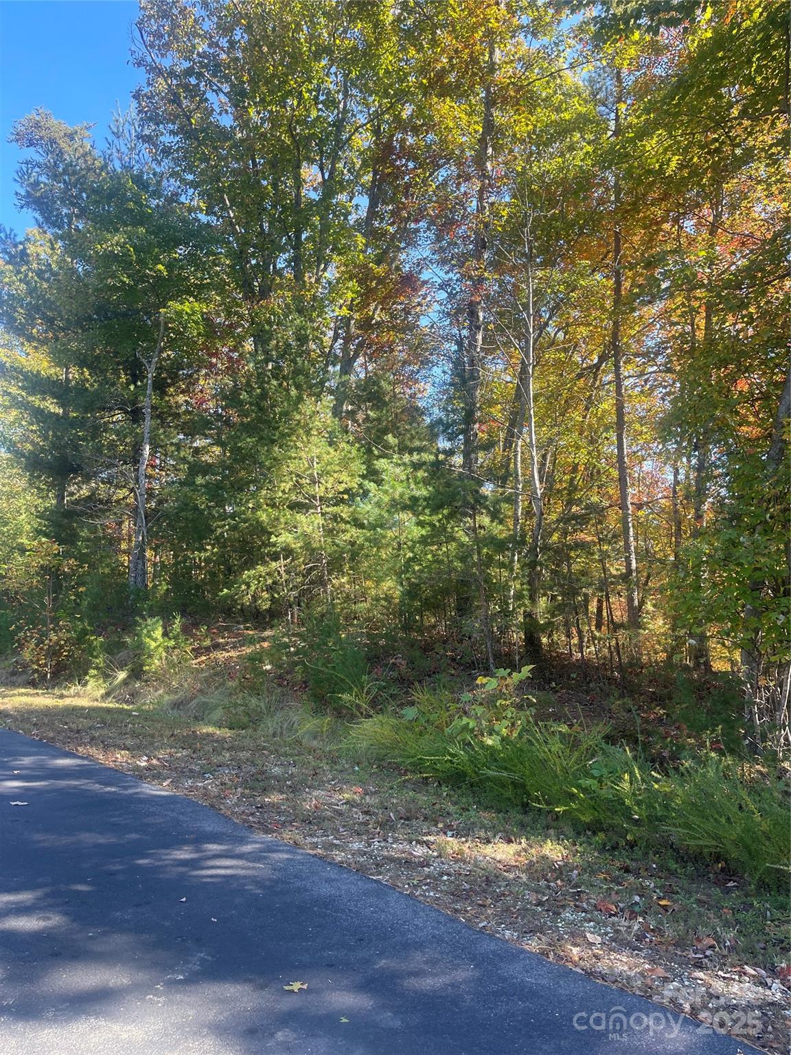 Marion, North Carolina 28752, United States, ,Land,Active,77594