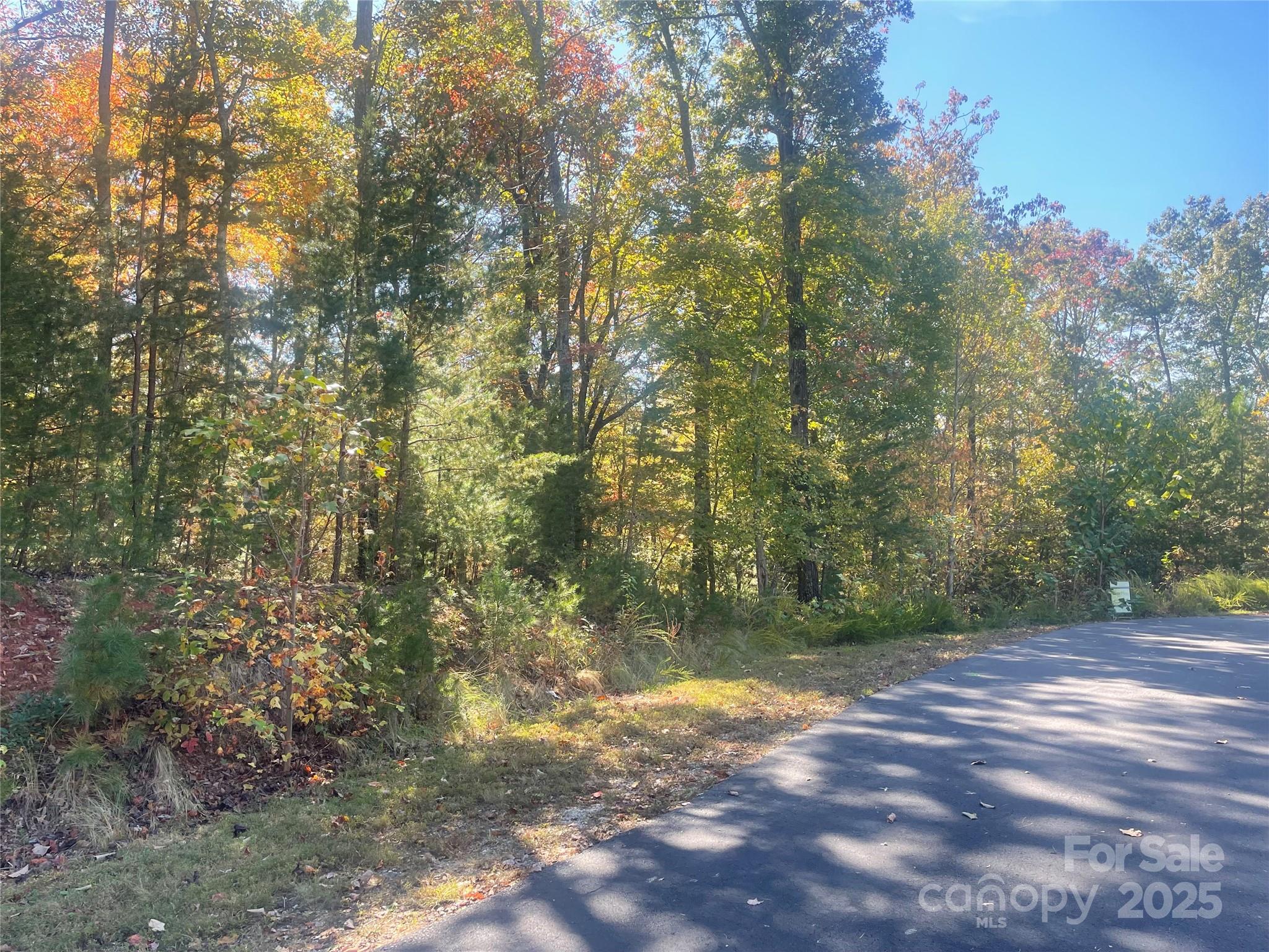 lot 46 Bald Eagle Lane 46