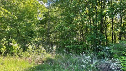 99999 Bachelder Lane Candler NC 28715