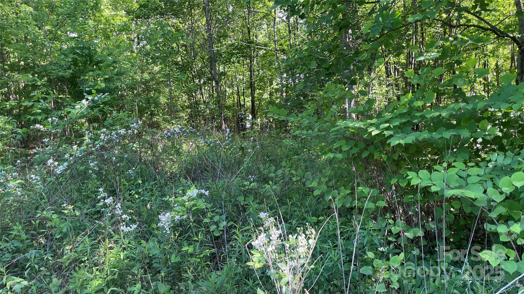 99999 Bachelder Lane