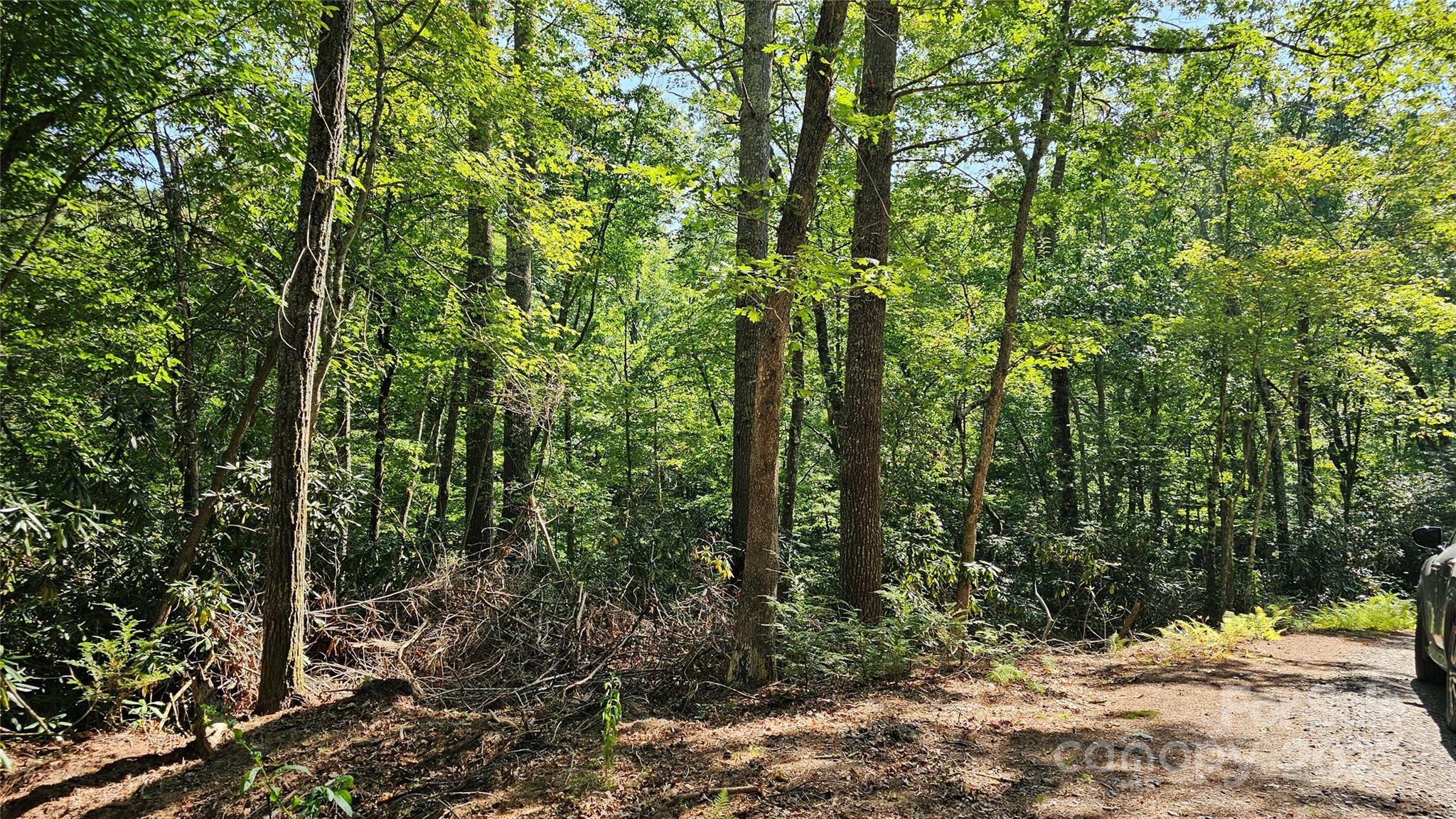 Lot 6 Rosewood Lane 6