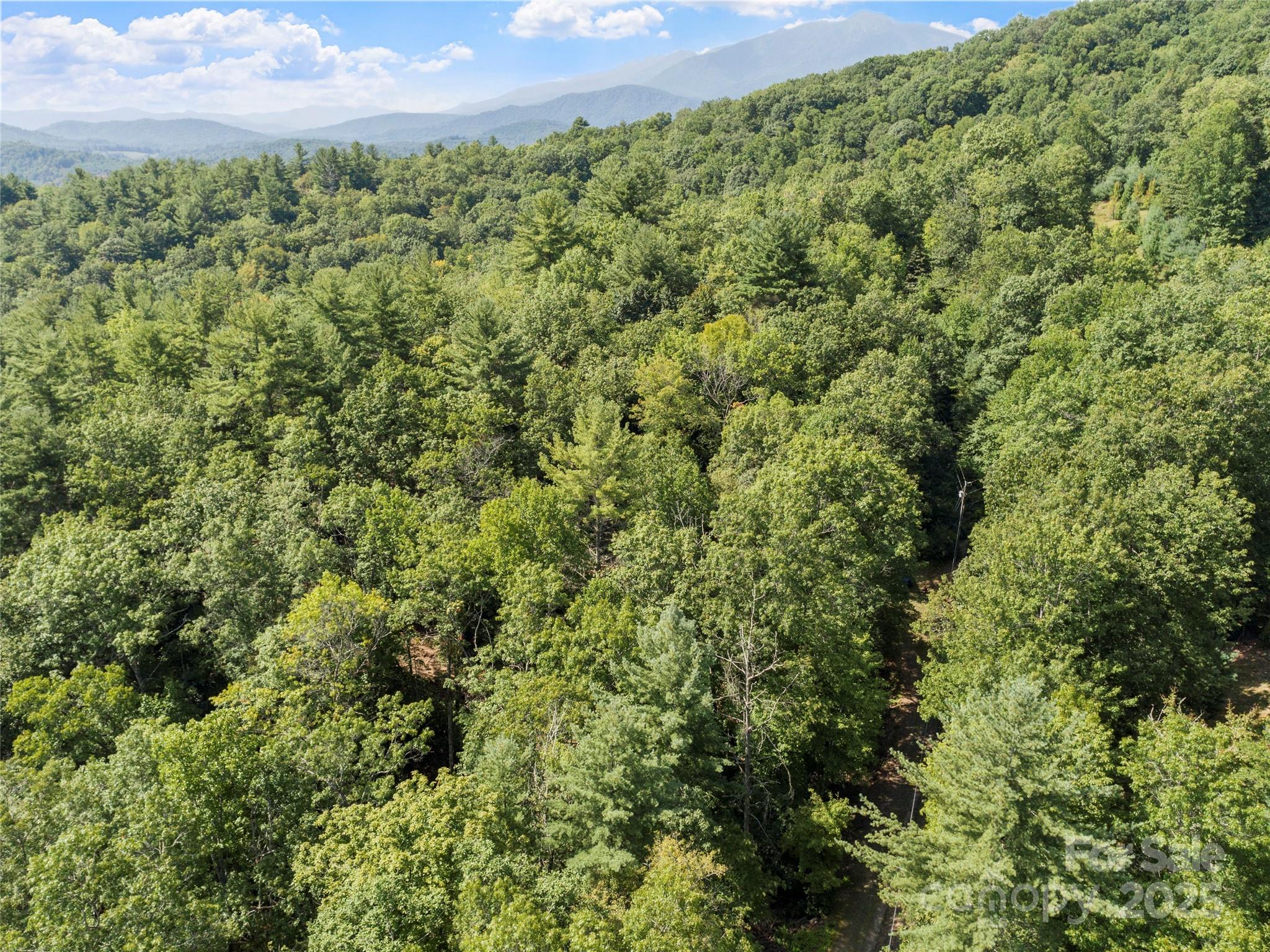 Lot 6 Rosewood Lane 6