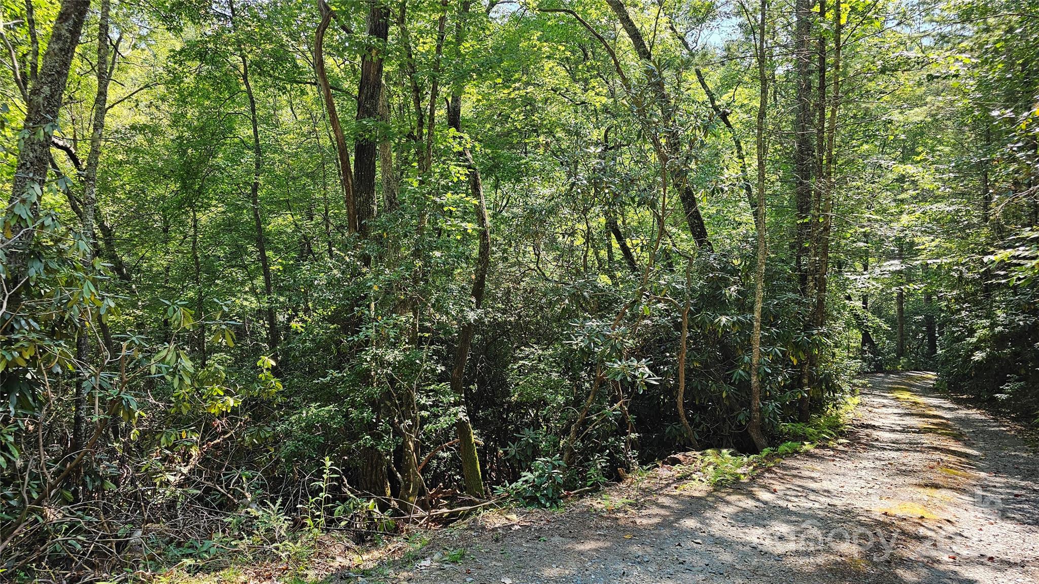 Lot 6 Rosewood Lane 6