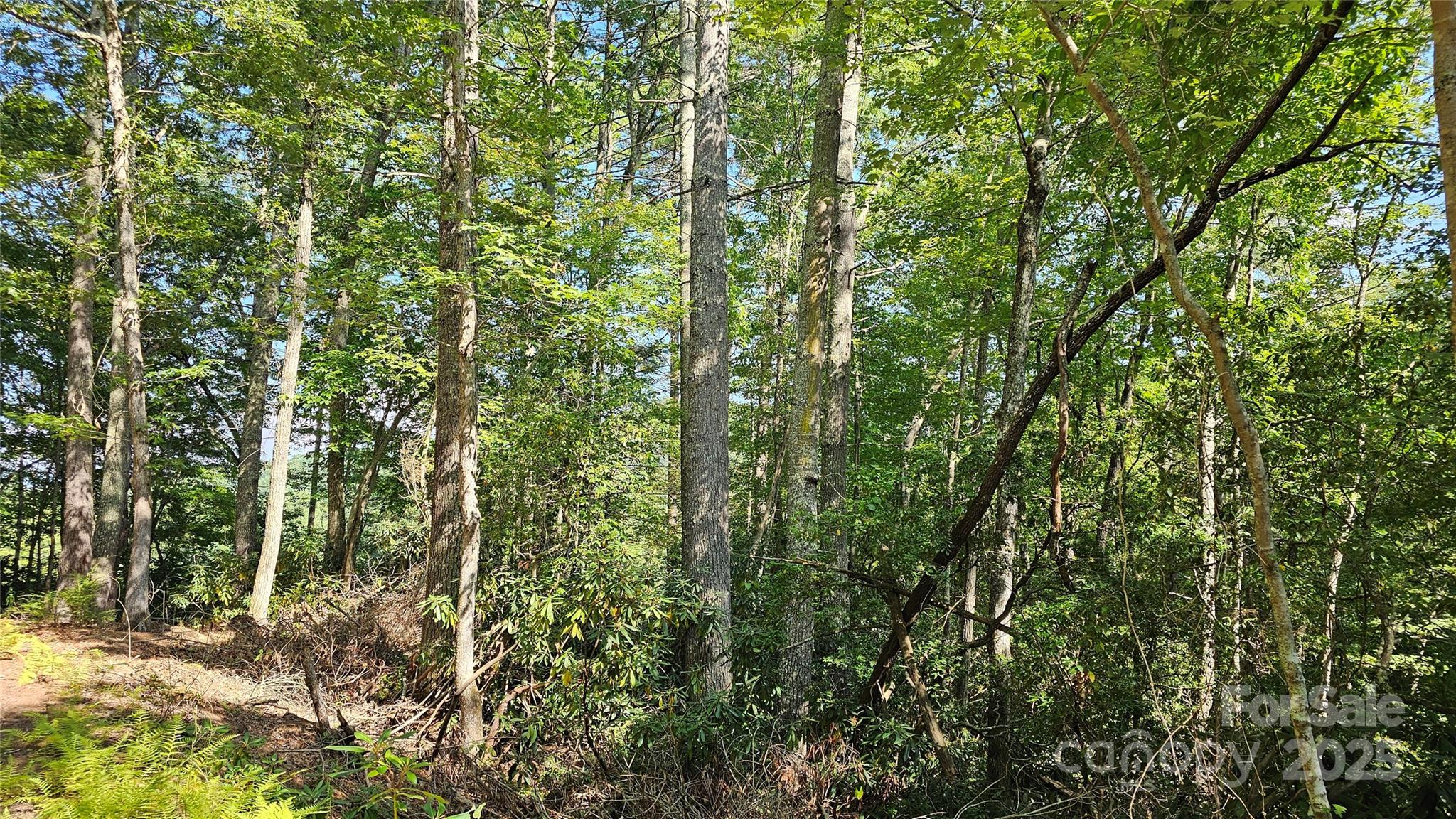 Lot 6 Rosewood Lane 6