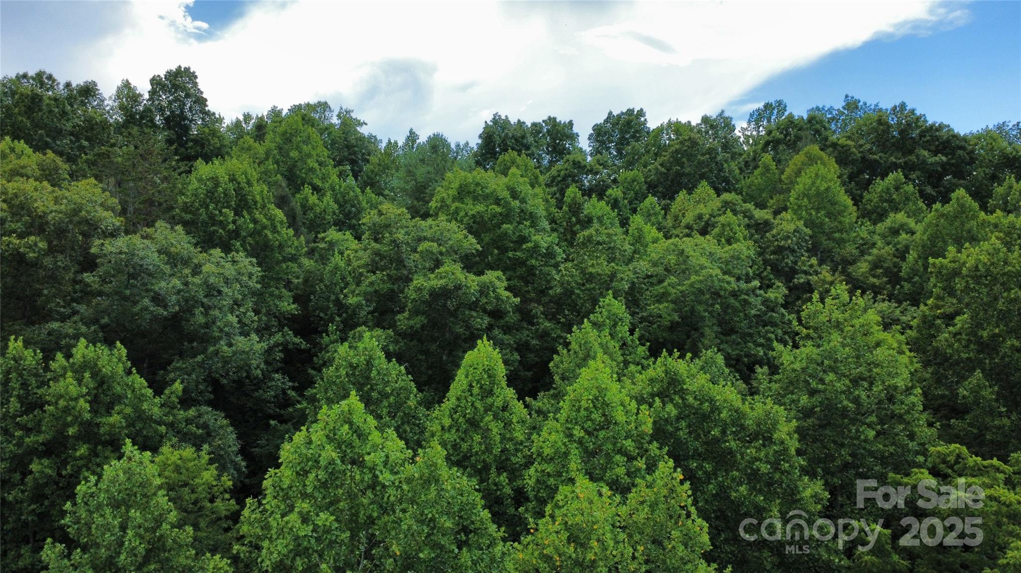 310 Walnut Grove Drive