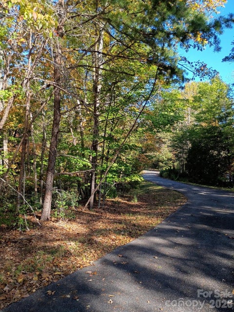 Photo of 3 Rome Court, Lake Lure, NC 28746 (MLS # 4437026)