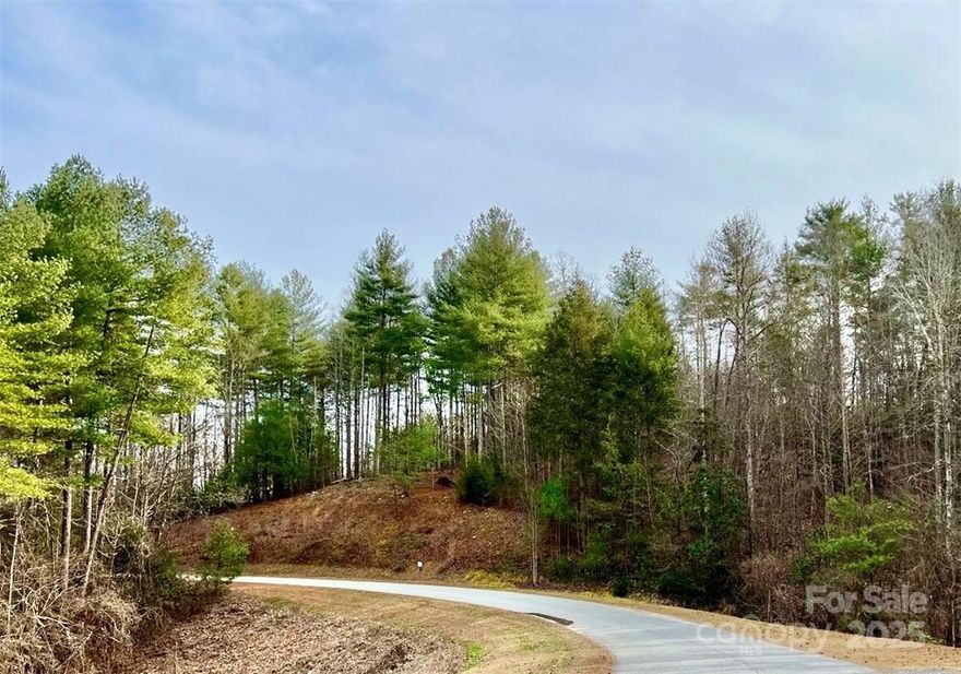 Level build site on top of 3.16 acre lot at The Coves Mountain River Club, only $74,900.  Drive up a gentle slope to this home site and build your home above street level where there are interior mountain views.  Lot 77 is just outside the new section of The Coves, The Farm on Husband's Creek.  Build your dream home or vacation getaway. No time limits to build. Clubhouse is a fabulous log structure located on a high peak with 360° views of Blue Ridge, South Mountains, and Brushy Mountains. Pool, fitness center, locker rooms, full kitchen. Five miles of Johns River at The Coves are perfect for kayaking, fishing, panning for gold, or wading and splashing on a hot summer day. Pickle-ball courts. Putting green. Community garden,  vineyard. 2 Equestrian Centers. Social events, yoga, strength training, excursions, dinner club. Pisgah National Forest and Wilson Creek Gorge Wild and Scenic River Area minutes away. Short drive to Charlotte, Asheville. Minutes to Blowing Rock, Morganton, Lenoir.