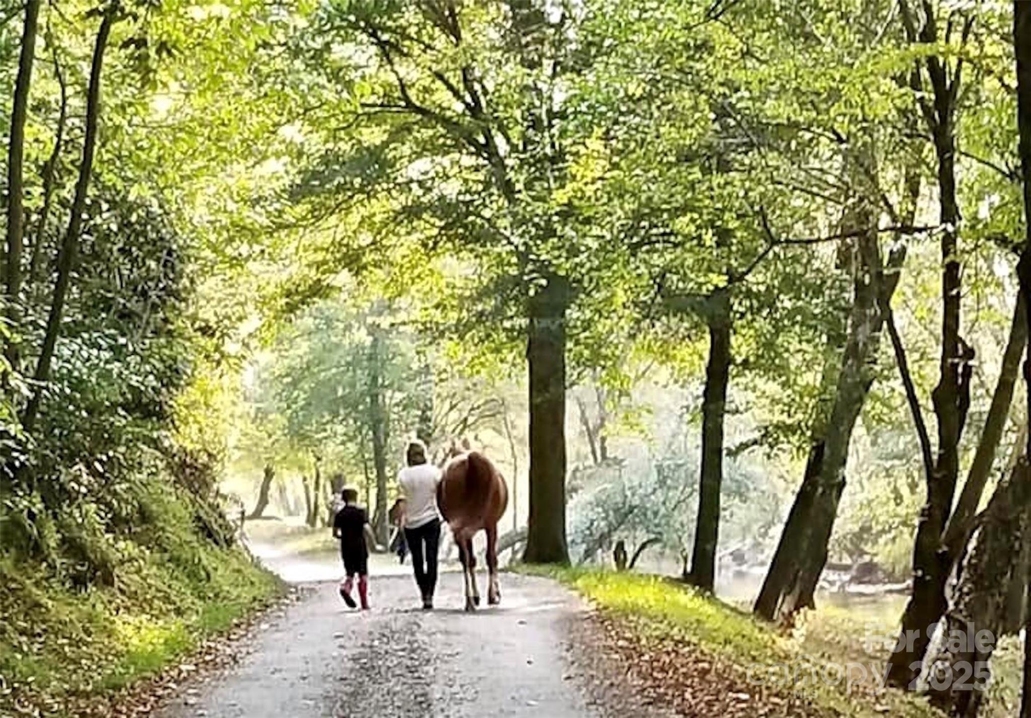 The Coves Mountain River Club - Land