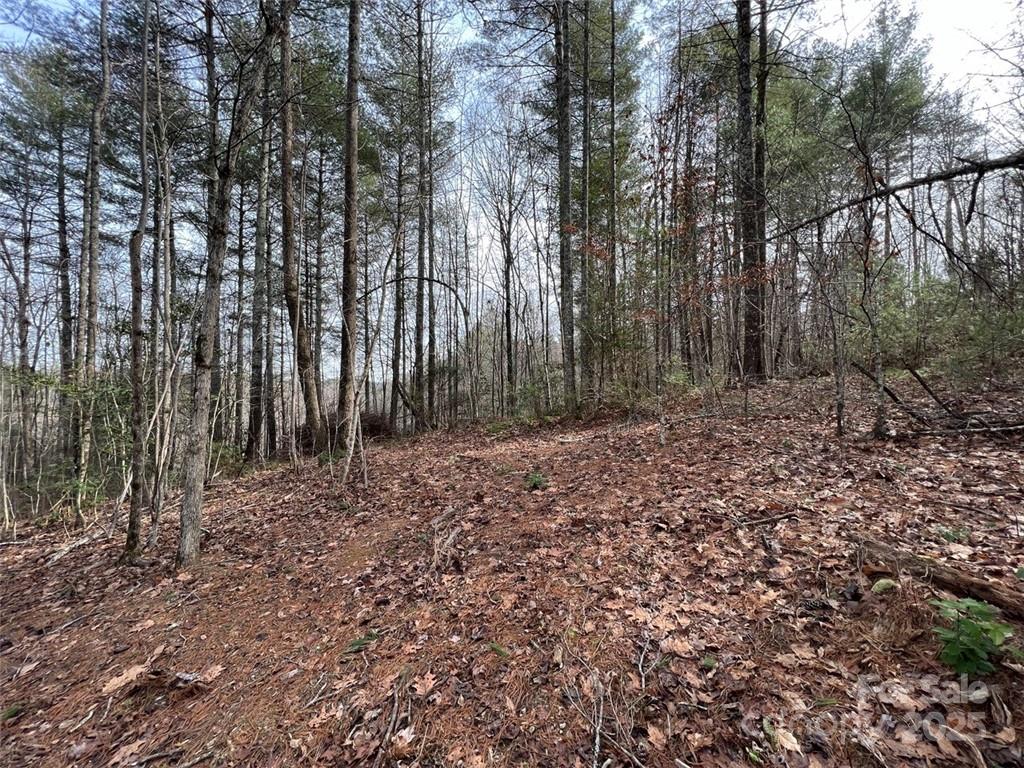 3.16 acres Lot 77, 1712 Round Mountain Parkway 77