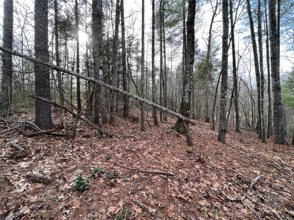 3.16 acres Lot 77, 1712 Round Mountain Parkway 77