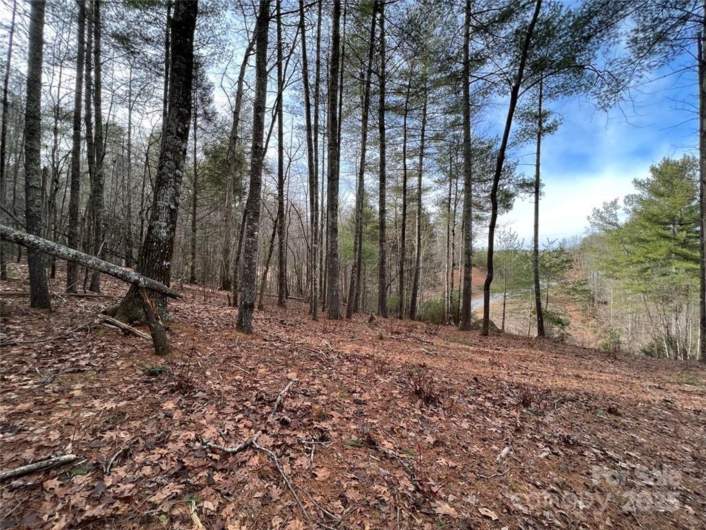 3.16 acres Lot 77, 1712 Round Mountain Parkway 77