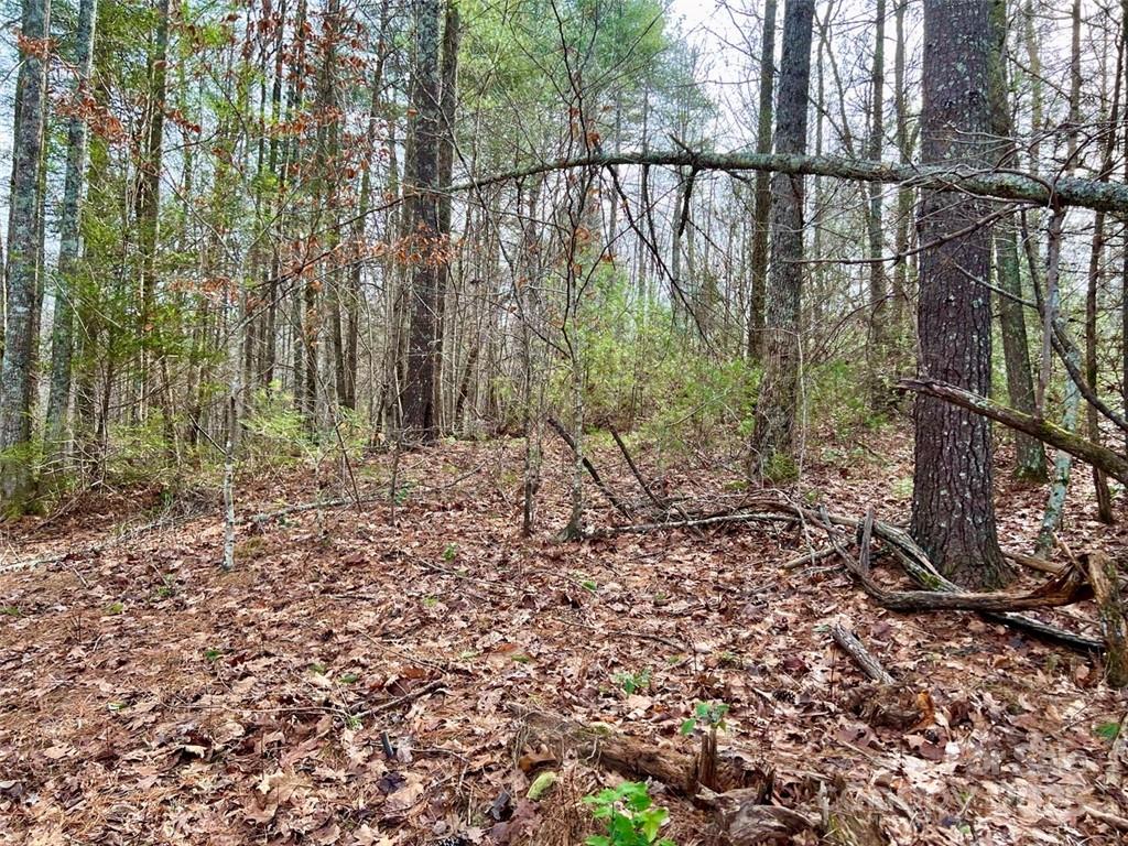 The Coves Mountain River Club - Land