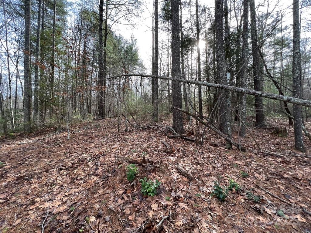 3.16 acres Lot 77, 1712 Round Mountain Parkway 77