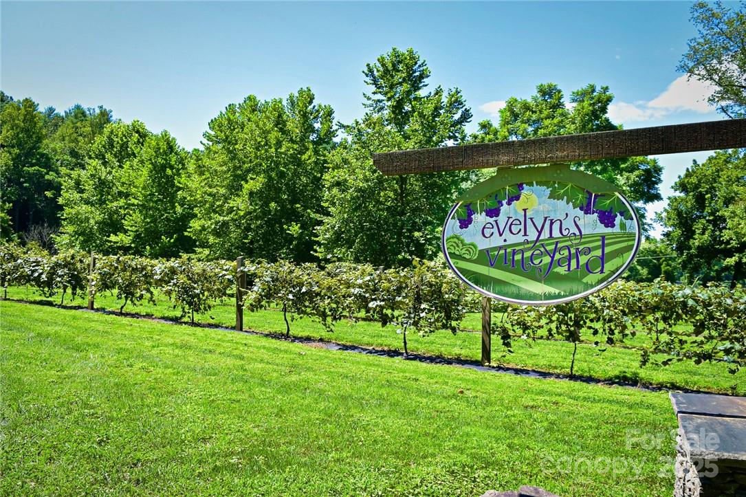 The Coves Mountain River Club - Land