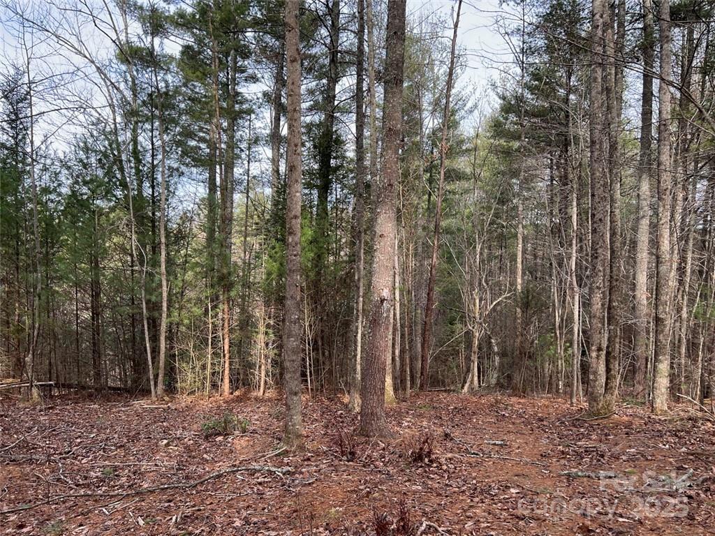 The Coves Mountain River Club - Land