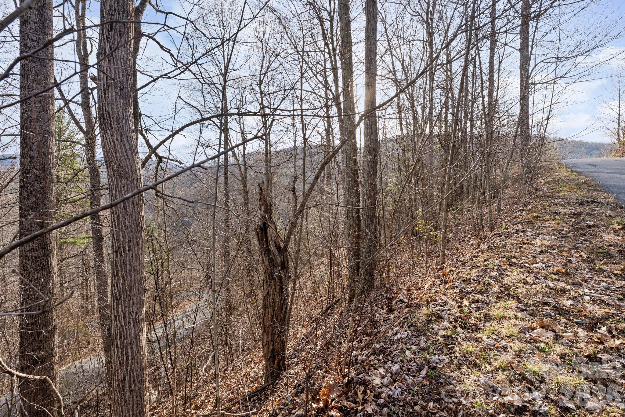 River Mountain - Land