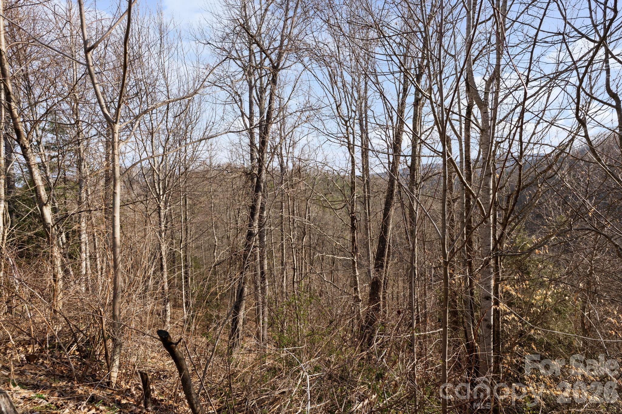 River Mountain - Land