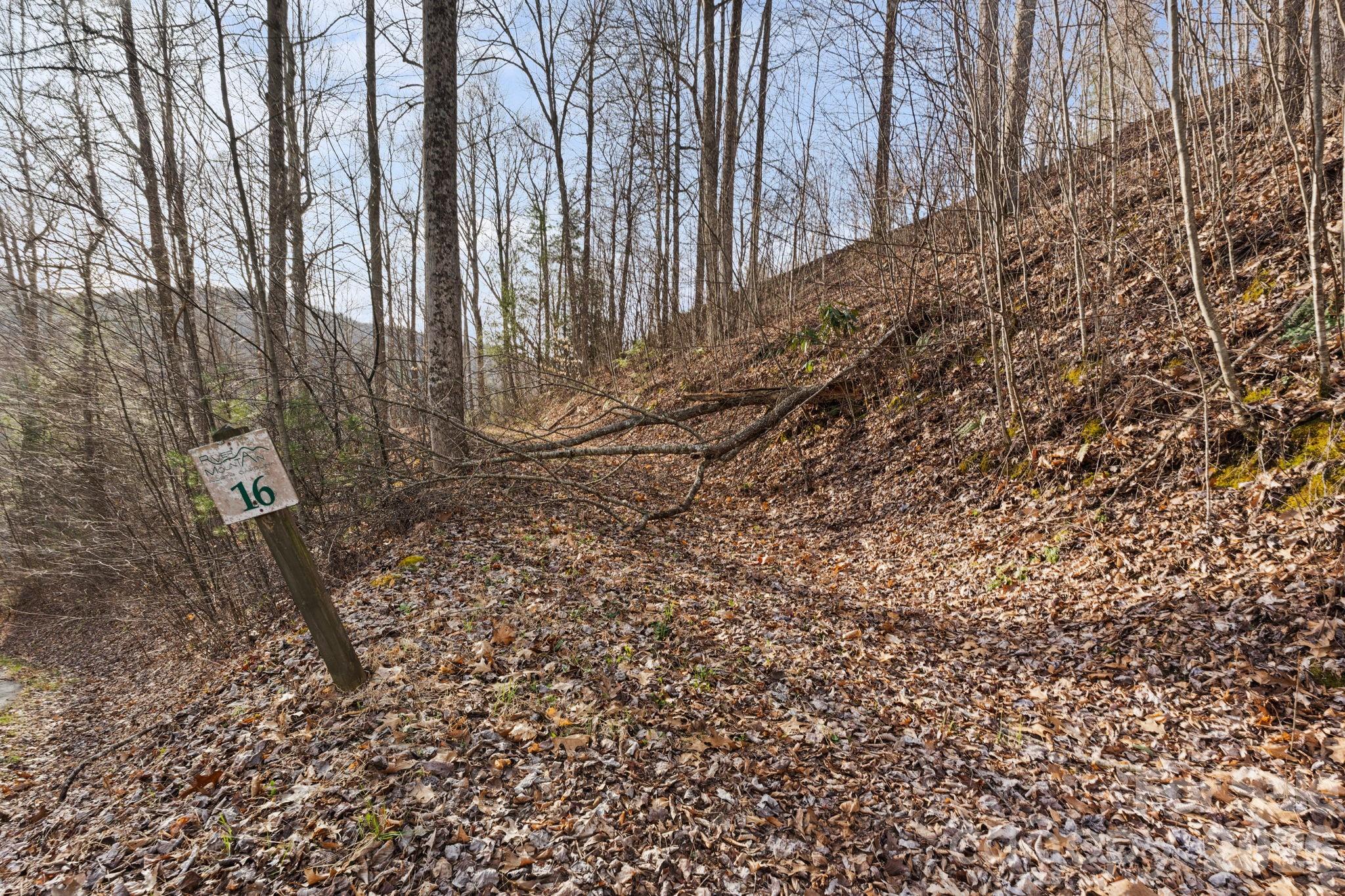 River Mountain - Land