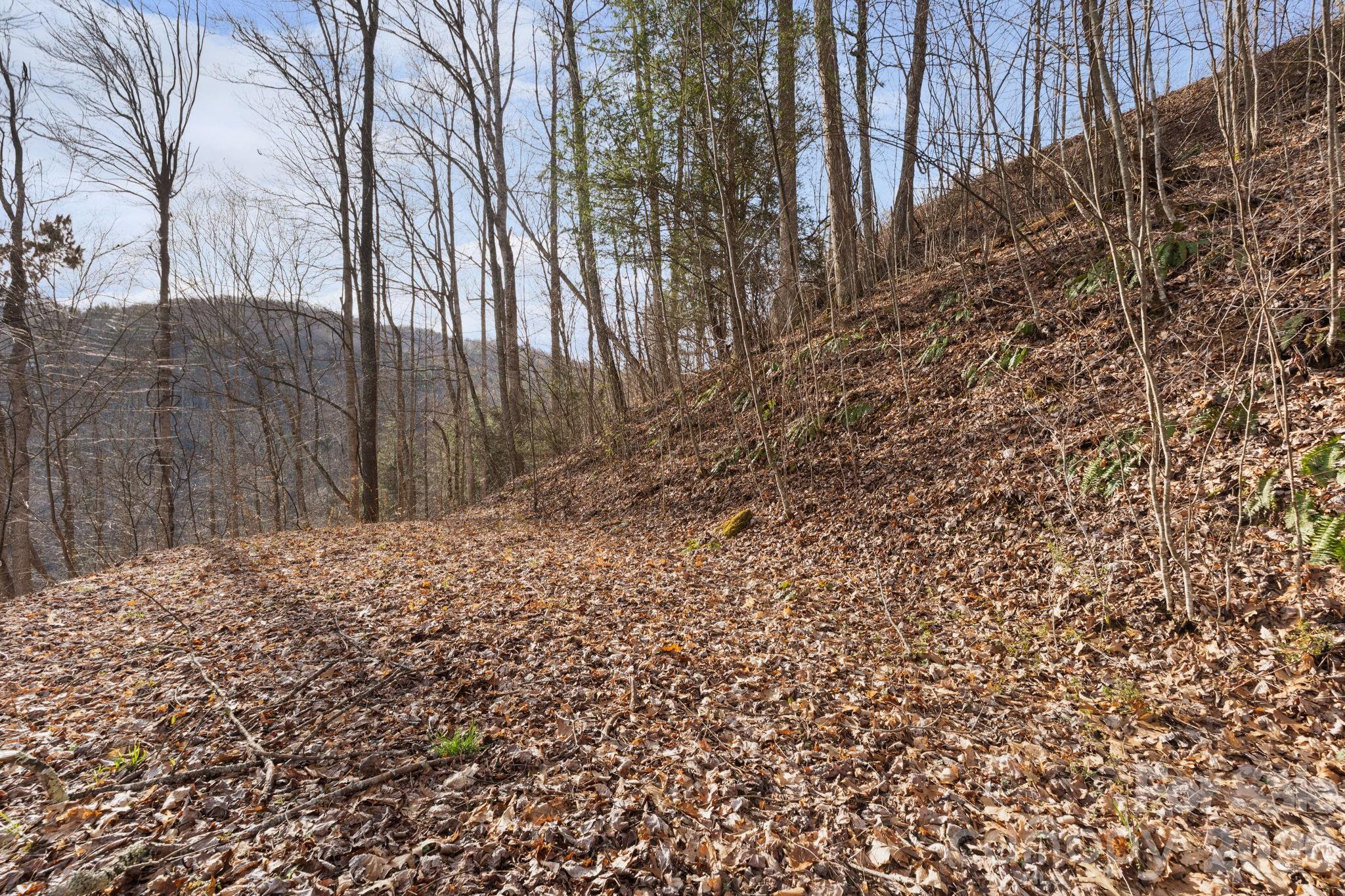 River Mountain - Land