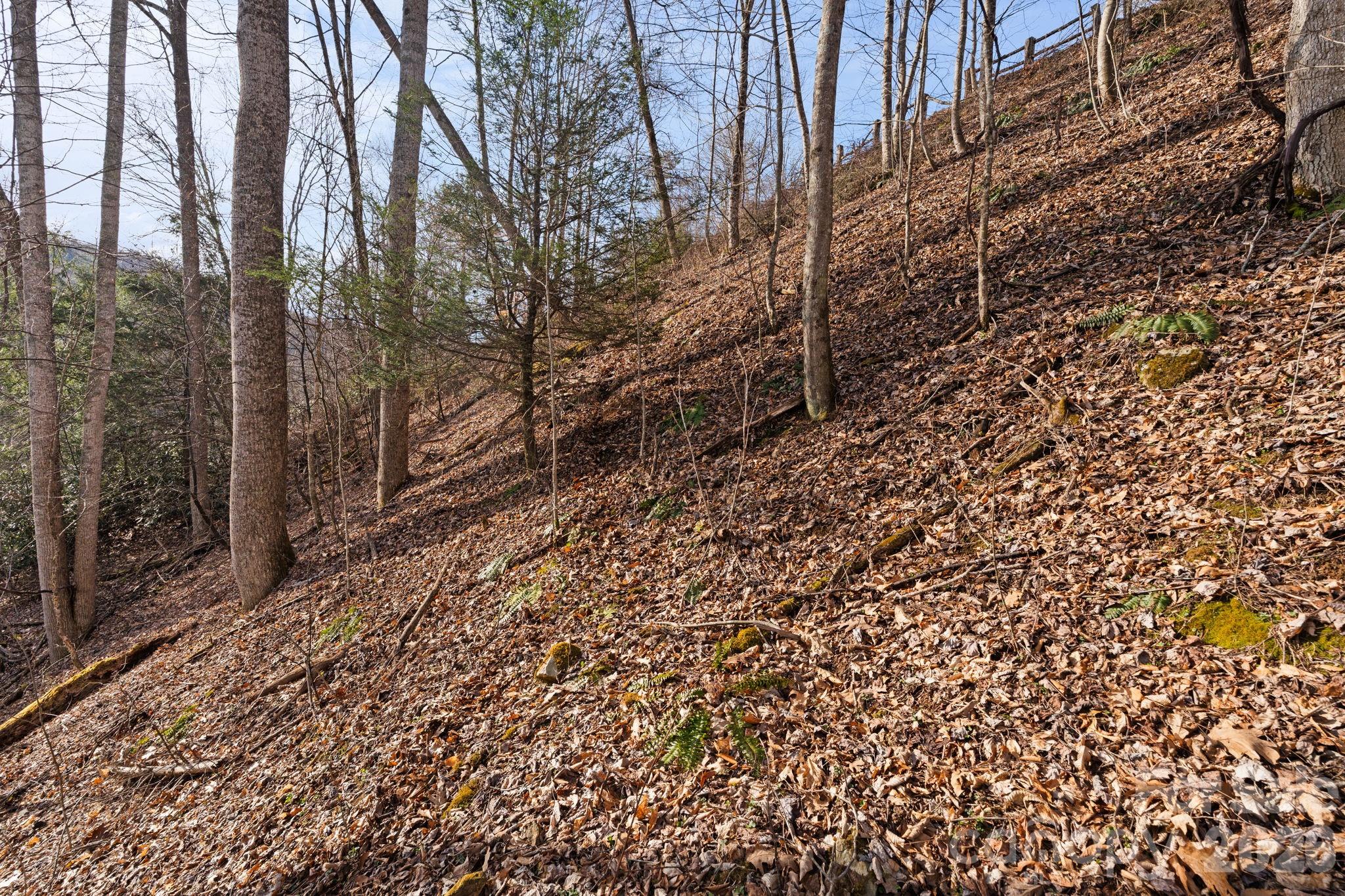 River Mountain - Land