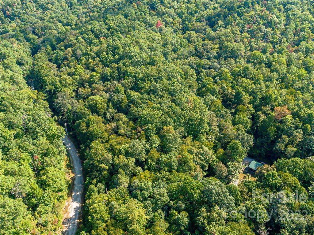 Indian Camp Mountain - Land