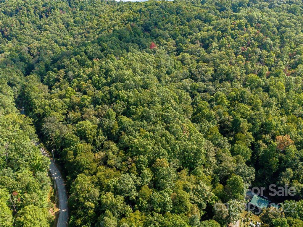 Indian Camp Mountain - Land