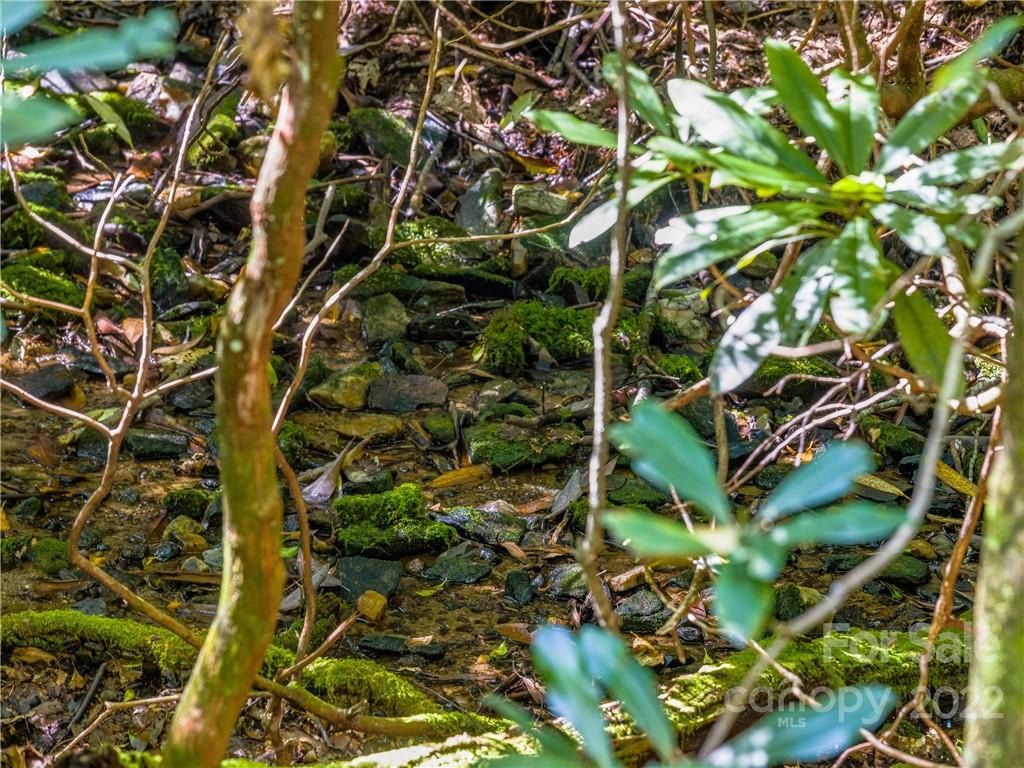 Indian Camp Mountain - Land