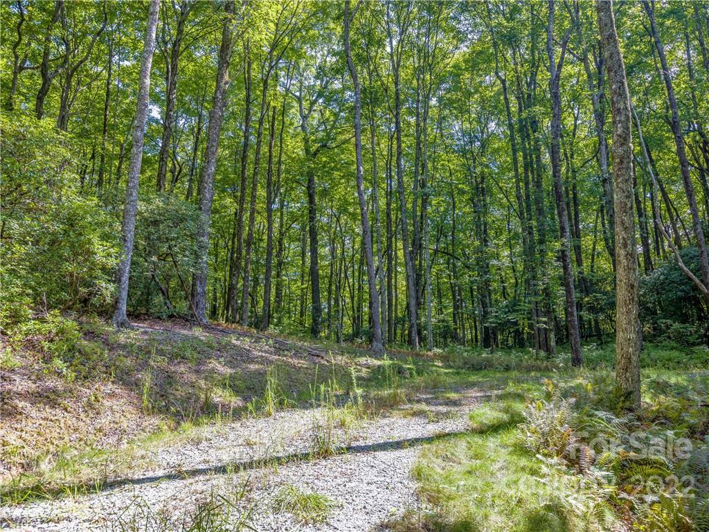 Indian Camp Mountain - Land