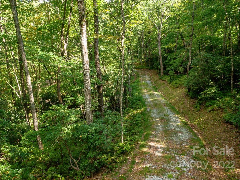 Indian Camp Mountain - Land