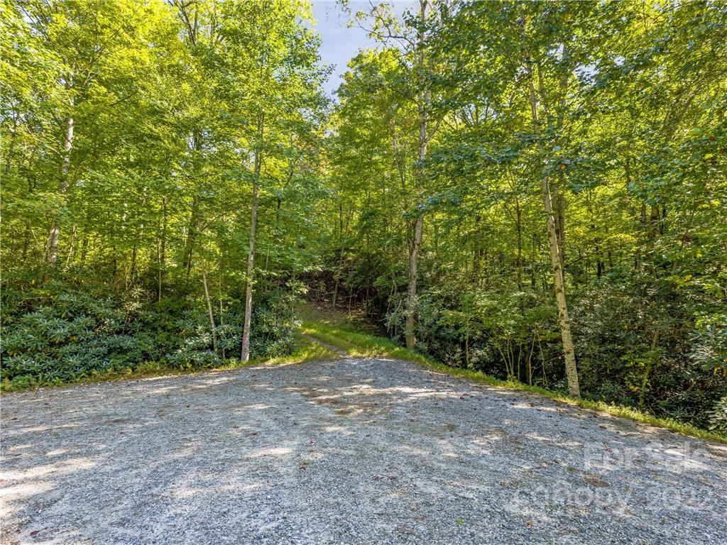 Indian Camp Mountain - Land