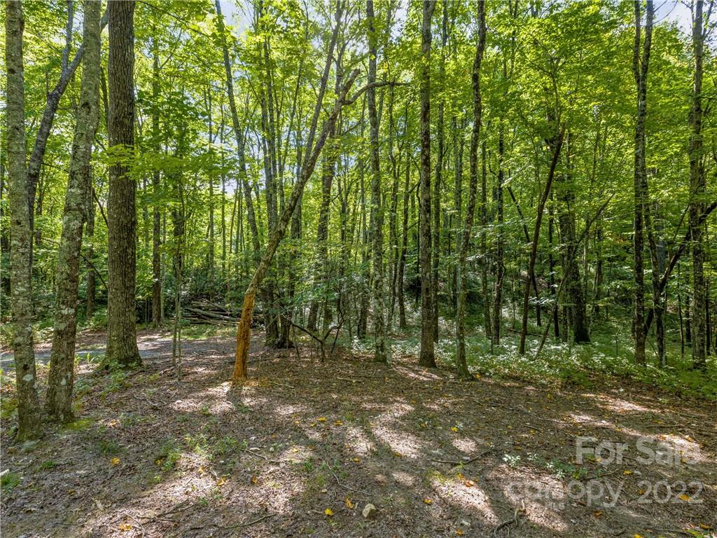 Indian Camp Mountain - Land