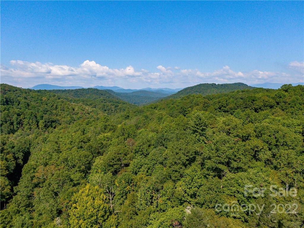 Indian Camp Mountain - Land