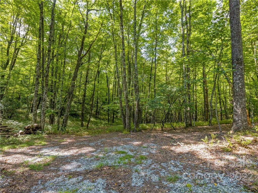 Indian Camp Mountain - Land