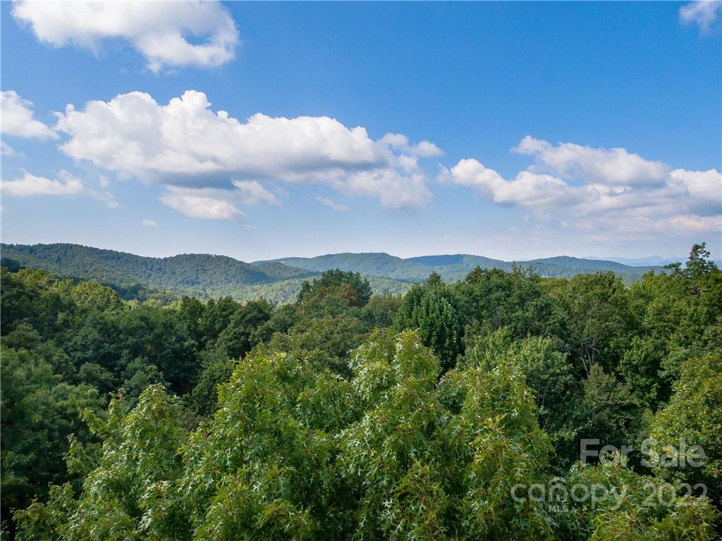 Indian Camp Mountain - Land