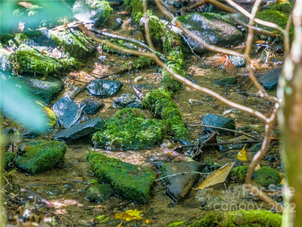 Indian Camp Mountain - Land