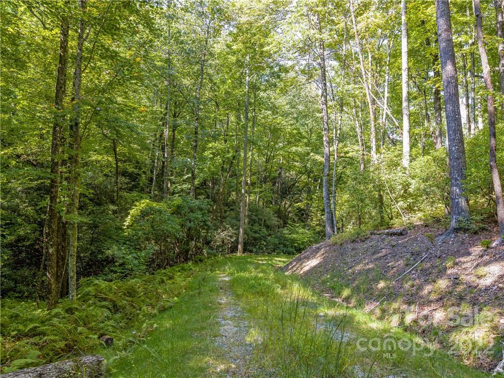 Indian Camp Mountain - Land