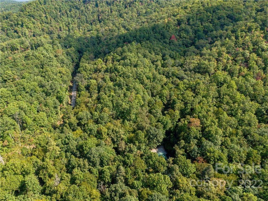 Indian Camp Mountain - Land