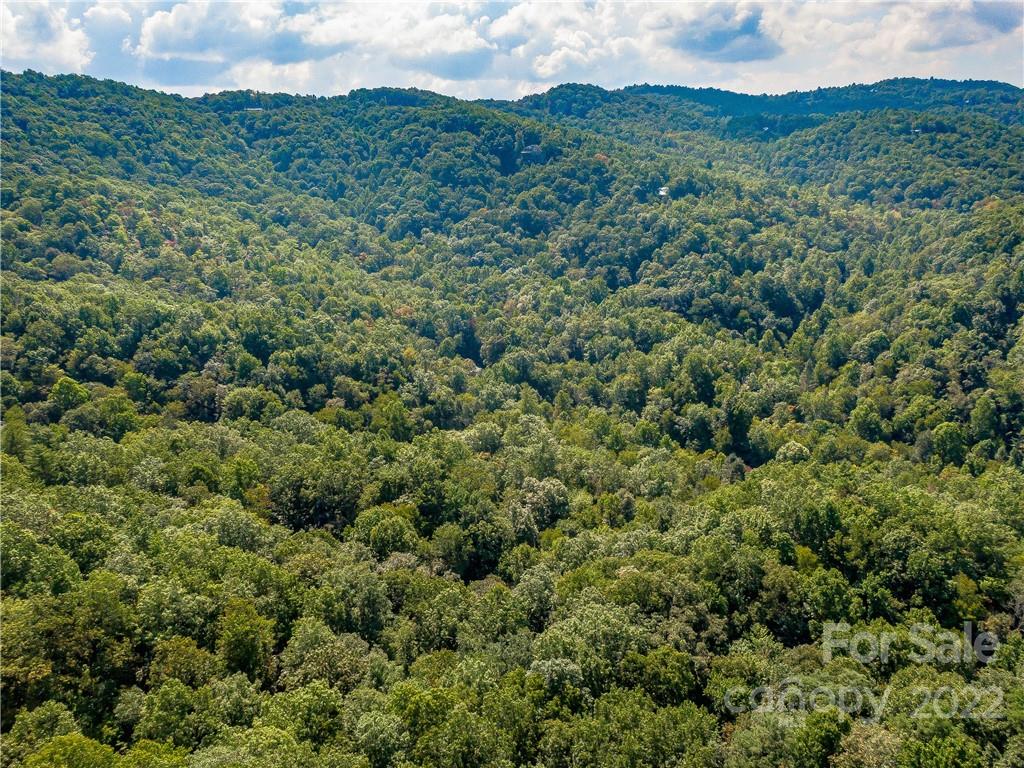 Indian Camp Mountain - Land