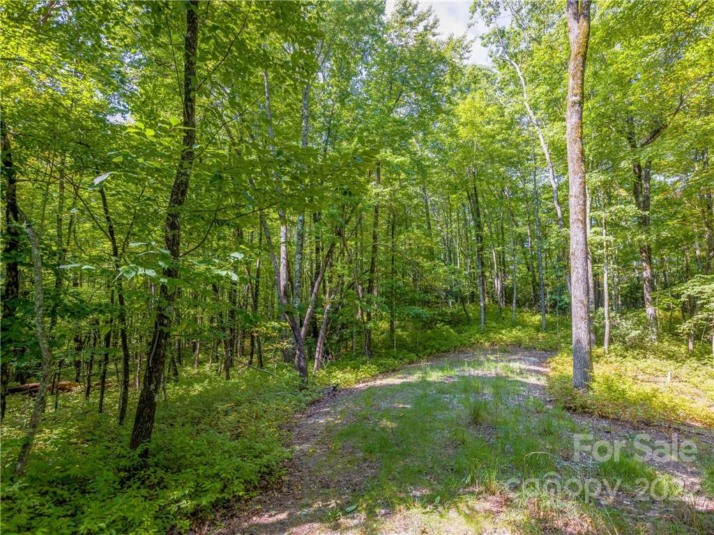 Indian Camp Mountain - Land