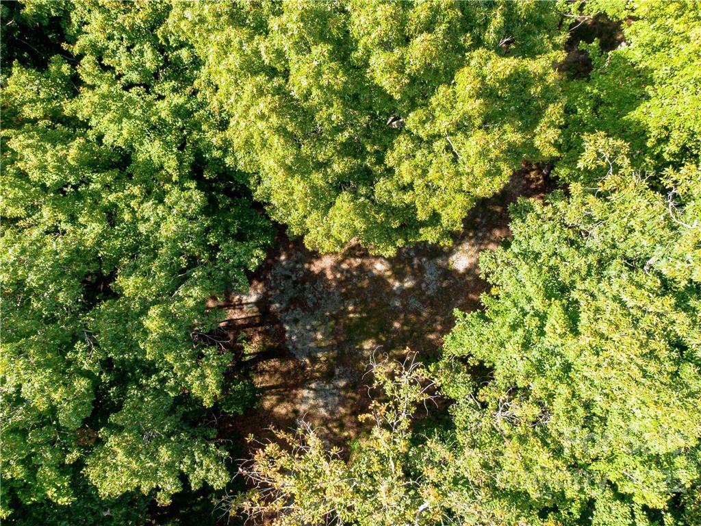 Indian Camp Mountain - Land