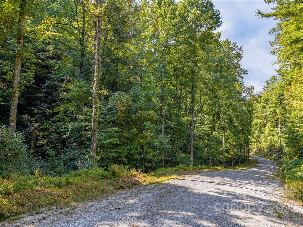 Indian Camp Mountain - Land